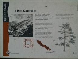 Image on trail